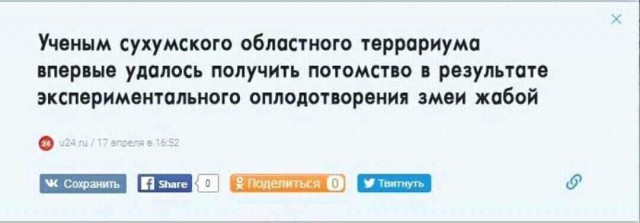 Забавные картинки