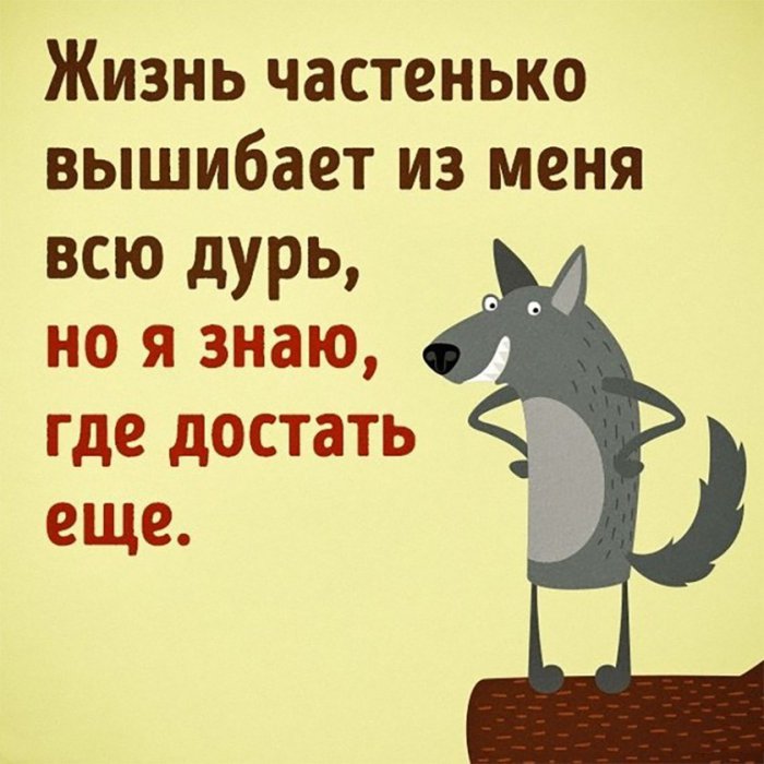 Забавные картинки