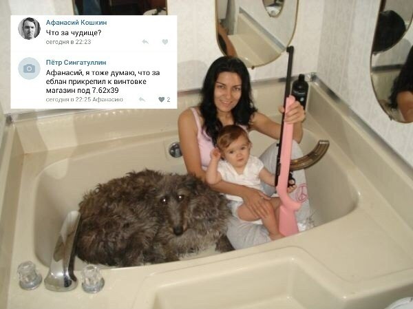 Забавные картинки