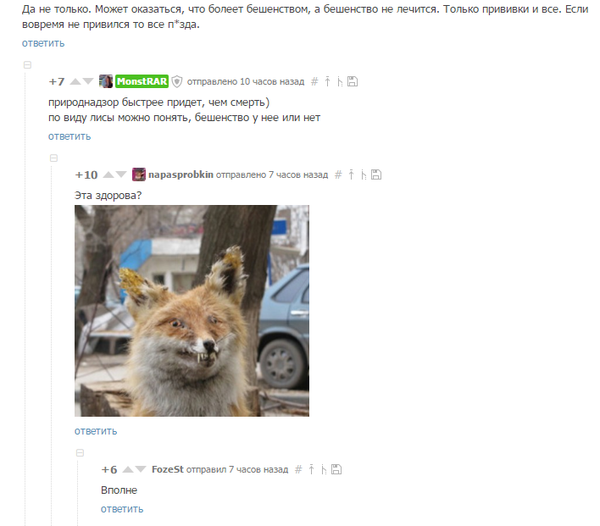 Забавные картинки