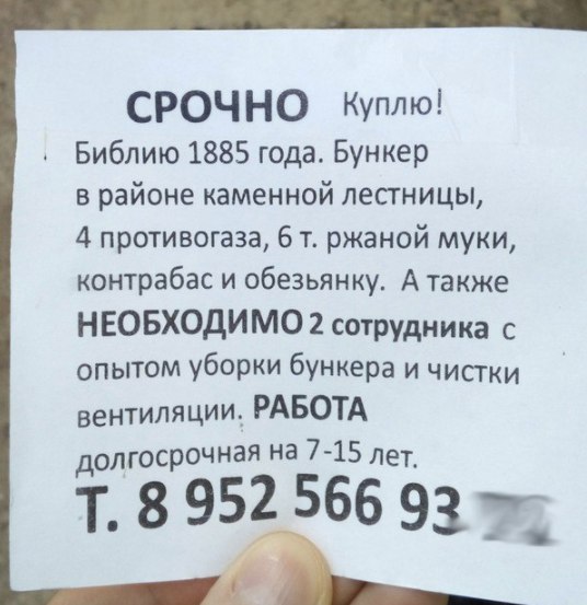 Забавные картинки