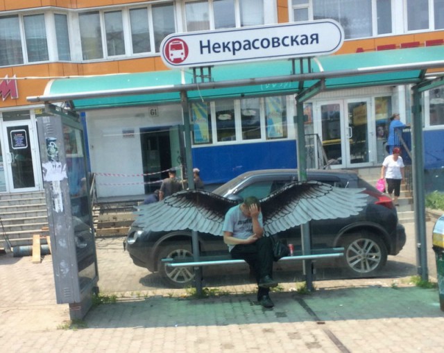 Забавные картинки