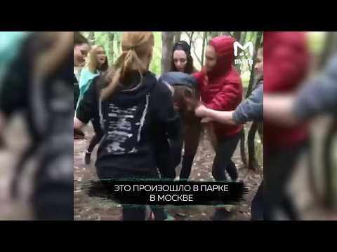 Девочки дерутся