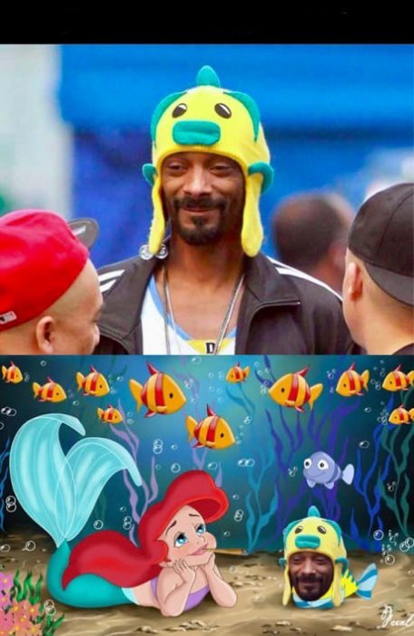 Забавные картинки
