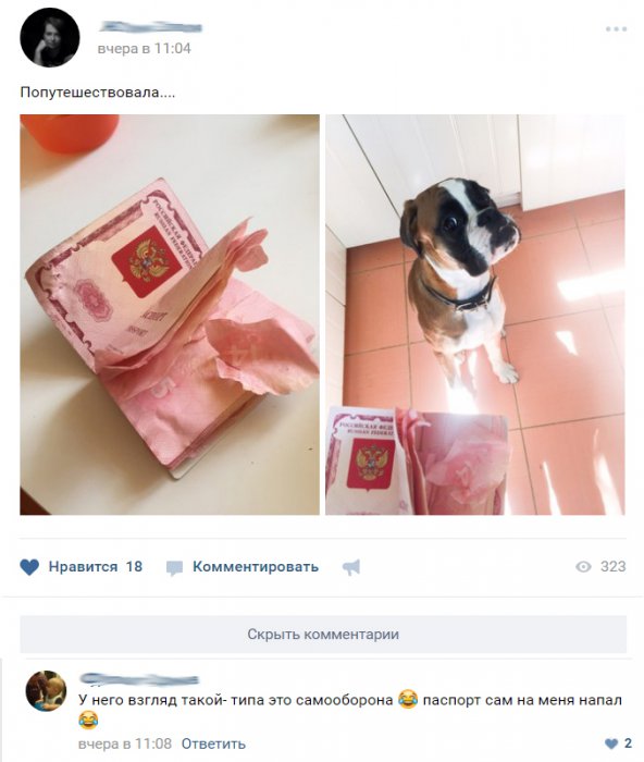 Забавные картинки