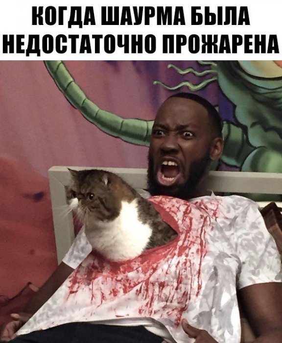 Забавные картинки