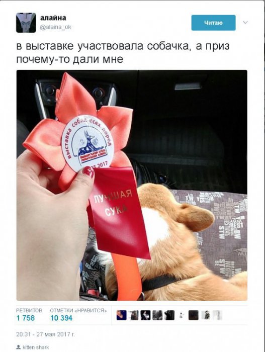 Забавные картинки