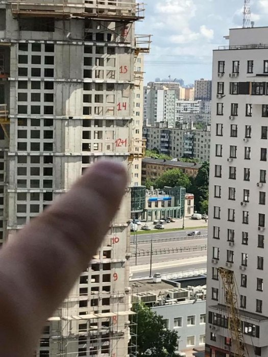 Забавные картинки