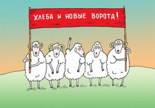 Все, что написано в интернете, – правда Все, что написано в интернете, – правда