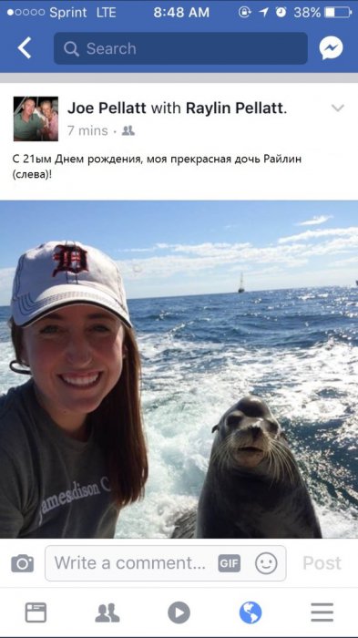 Забавные картинки