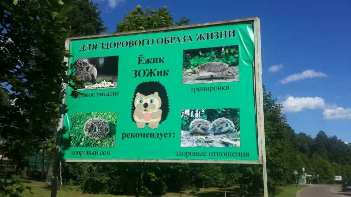 Забавные картинки