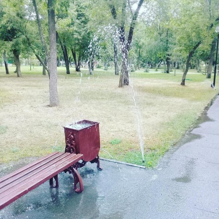 Забавные картинки