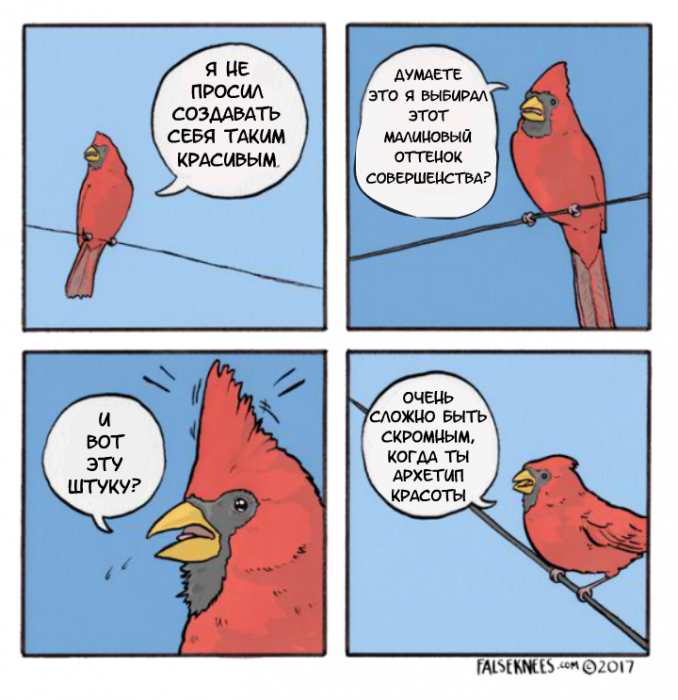 Забавные картинки