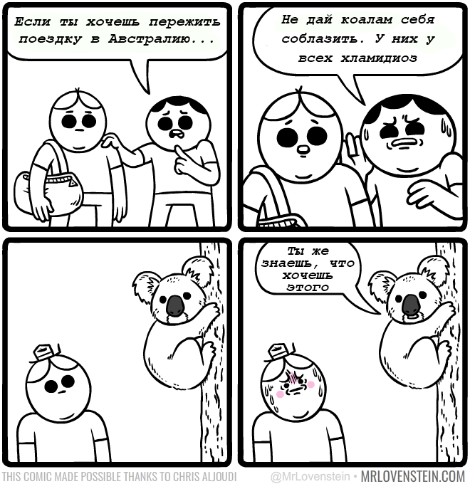 Забавные картинки