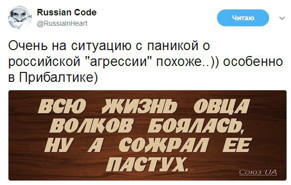 Забавные картинки