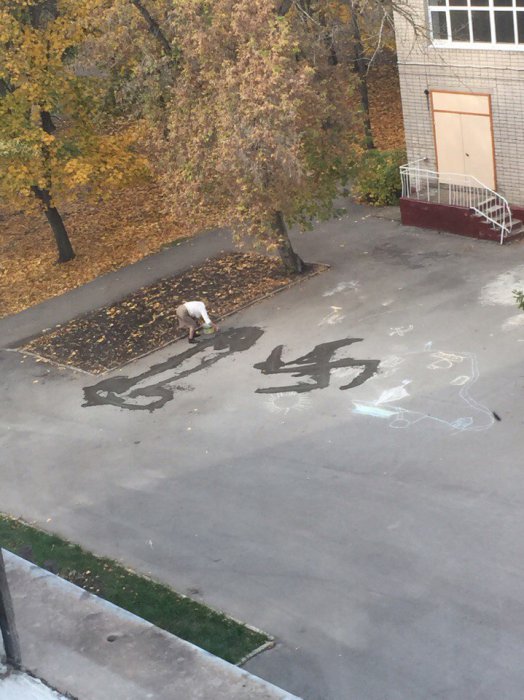 Забавные картинки
