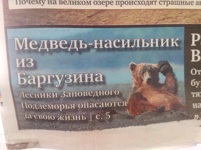 Забавные картинки