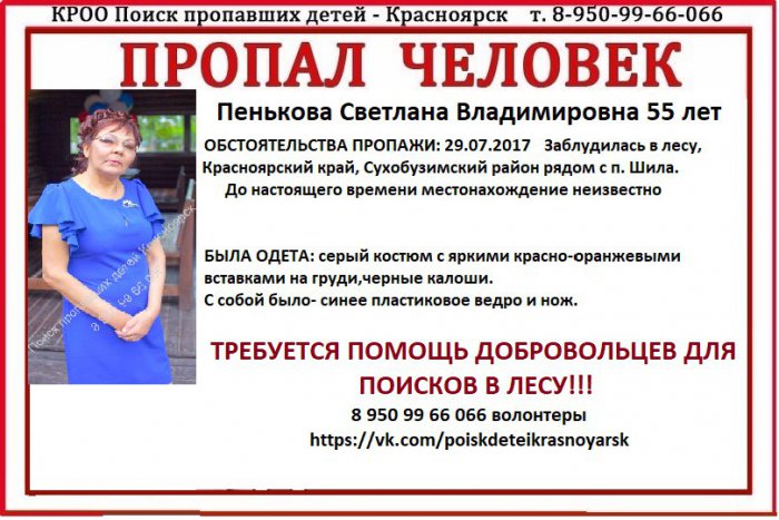 В Сухобузимском районе ищут заблудившуюся в лесу