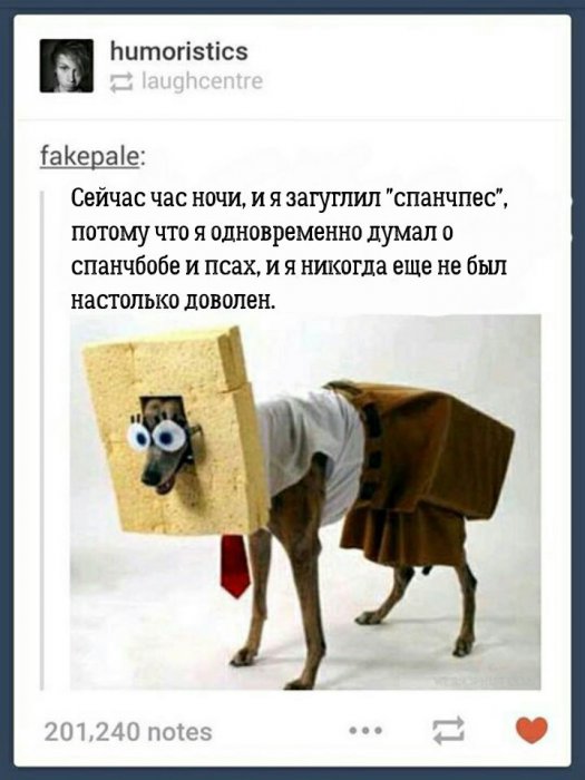 Забавные картинки