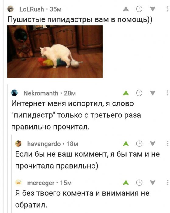 Забавные картинки