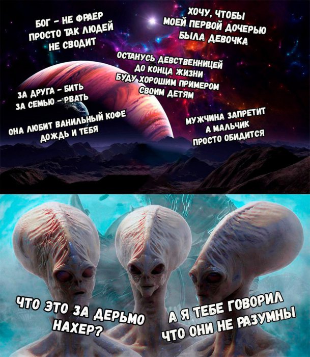 Забавные картинки
