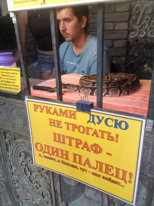 Забавные картинки