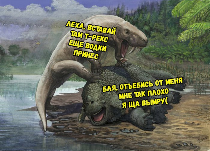 Забавные картинки