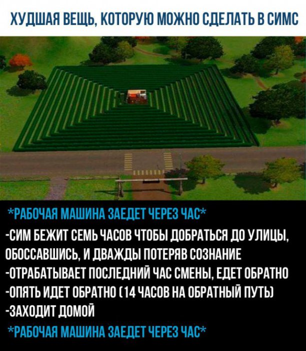 Что можно сделать в SIMS    