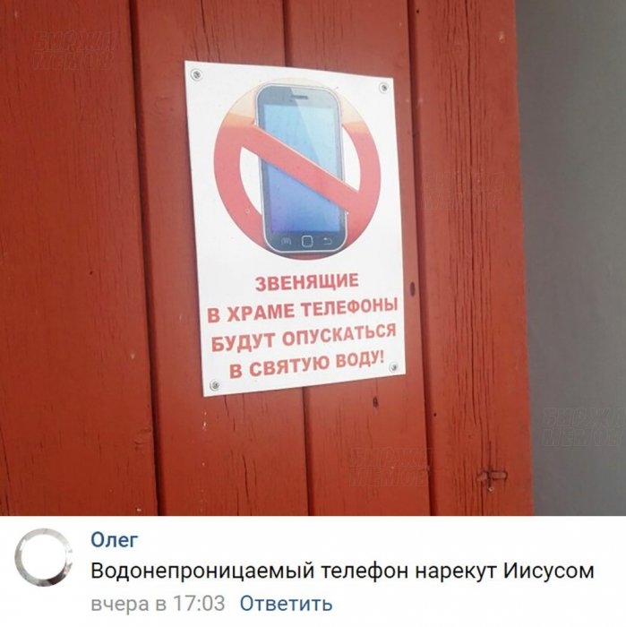 Забавные картинки