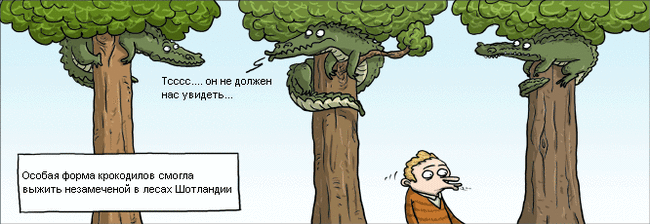 Забавные картинки