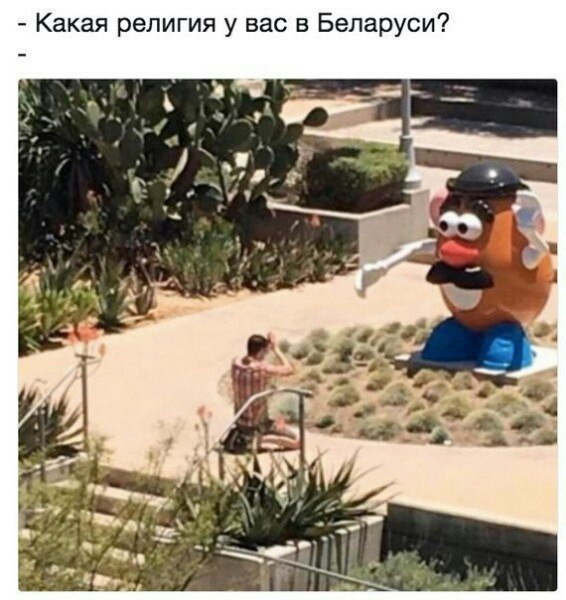 Забавные картинки