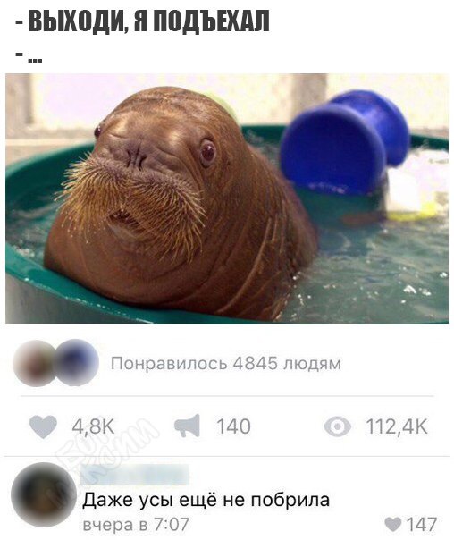 Забавные картинки