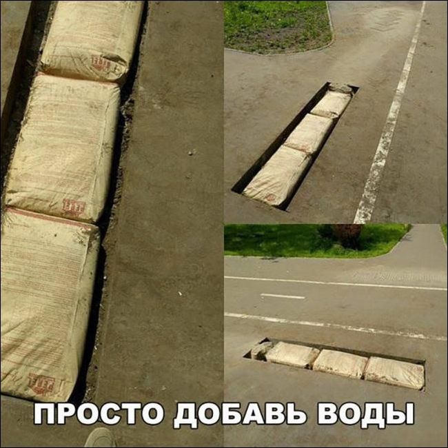 Забавные картинки