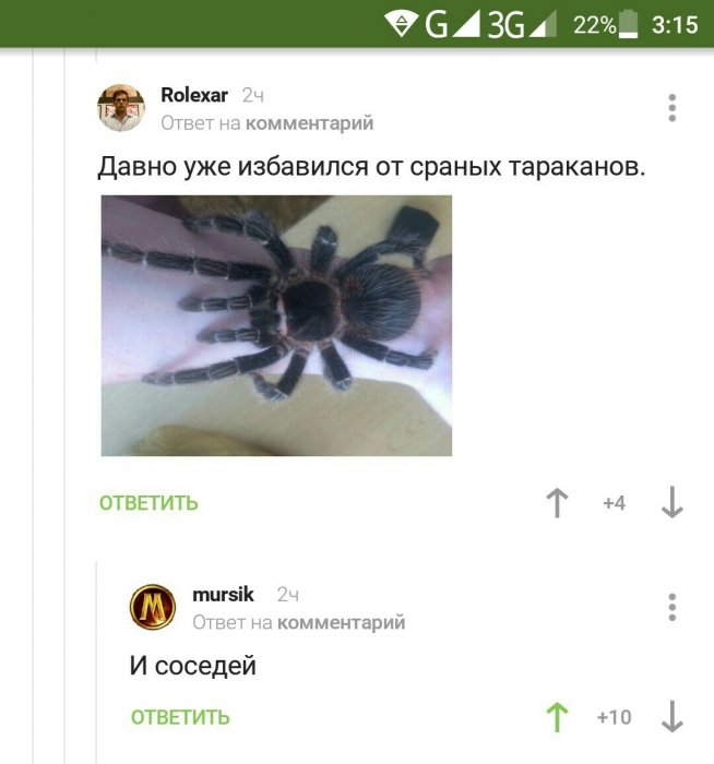 Забавные картинки