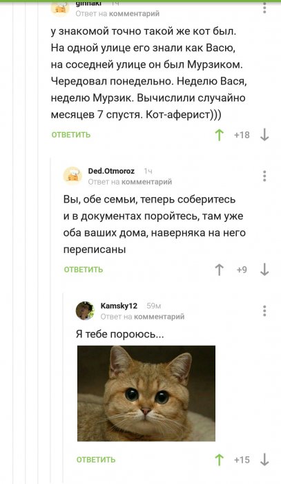 Забавные картинки