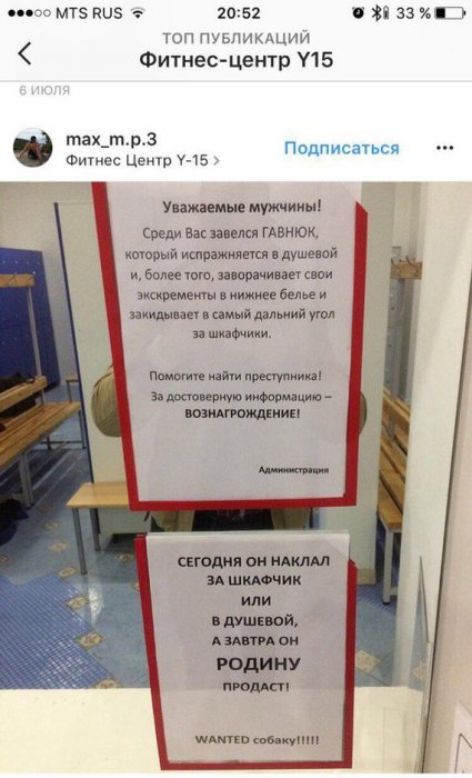Забавные картинки