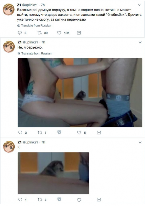 Забавные картинки