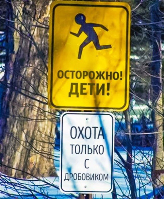 Забавные картинки