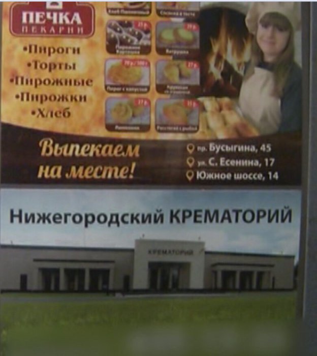 Забавные картинки