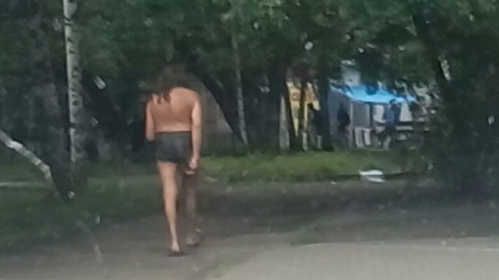 Забавные картинки