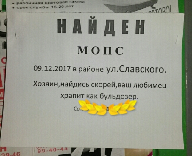 Забавные картинки