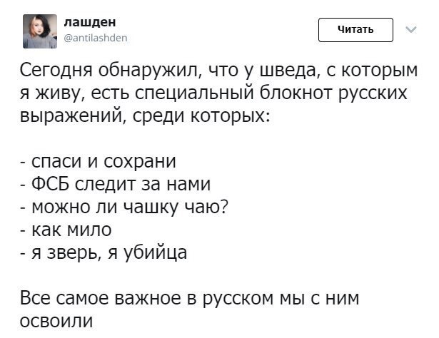 Забавные картинки