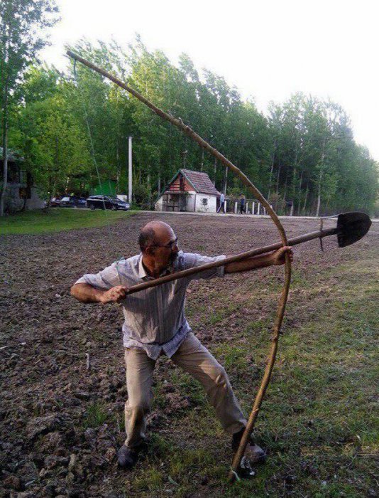 Забавные картинки