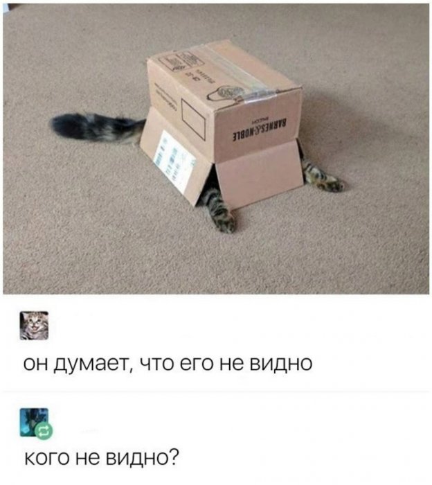Забавные картинки