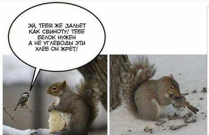 Забавные картинки