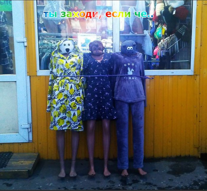 Забавные картинки