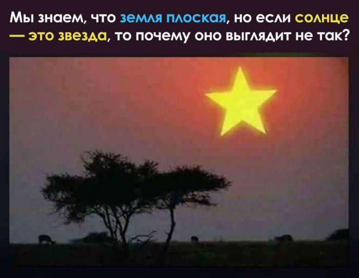 Забавные картинки