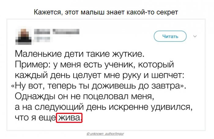 Забавные картинки
