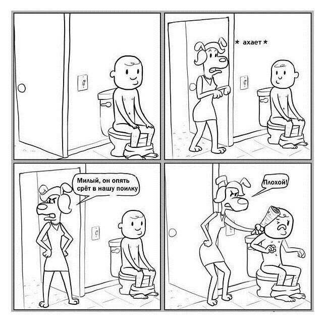 Забавные картинки