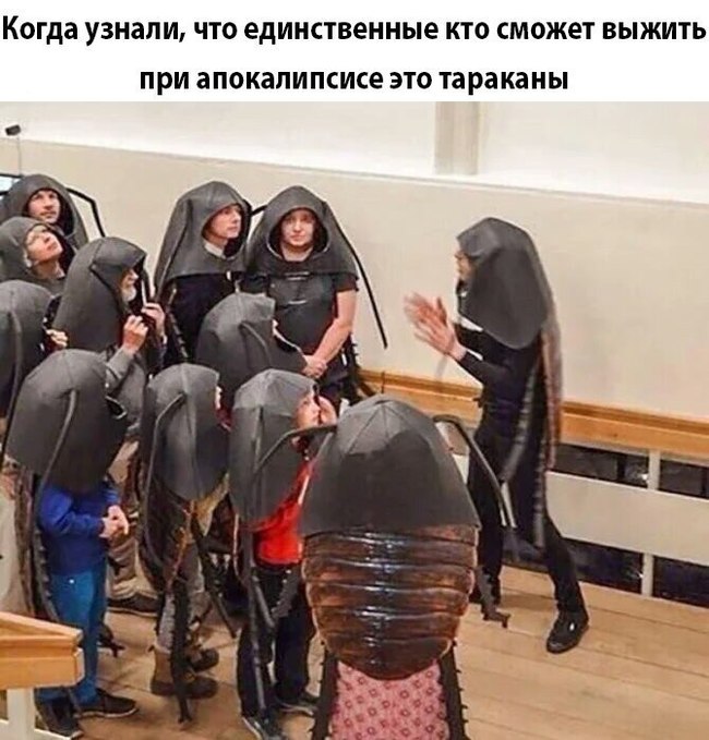 Забавные картинки